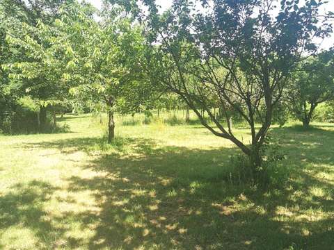 Vente de terrain