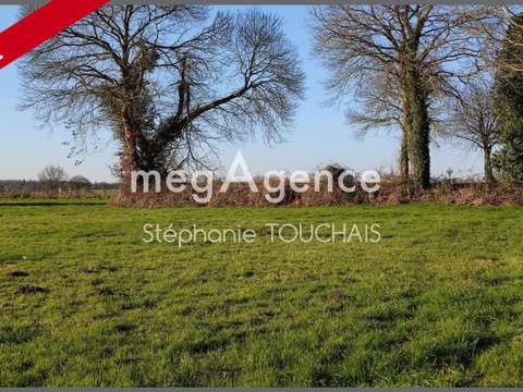 Vente de terrain Saint-Étienne-en-Coglès 35