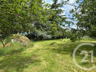 Vente de terrain