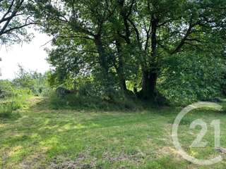 Vente de terrain