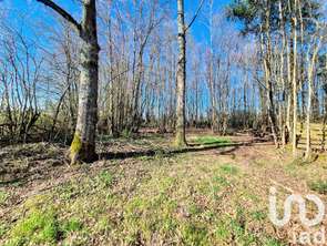 Vente Terrain 3380 m&sup2;Saint-Firmin-des-Bois
