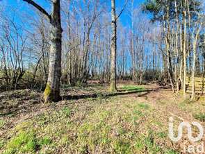 Vente Terrain 3380 m&sup2;Saint-Firmin-des-Bois