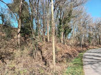 Vente de terrain Saint-Fraimbault-de-Prières 53