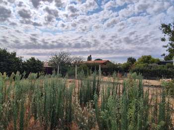 Vente Terrain 619 m&sup2;Saint-Fulgent