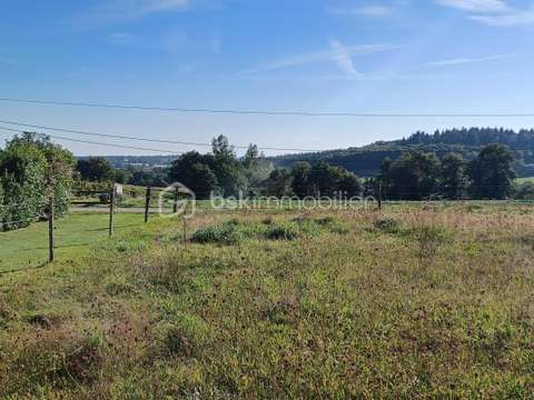 Vente de terrain Saint-Georges-Buttavent 53