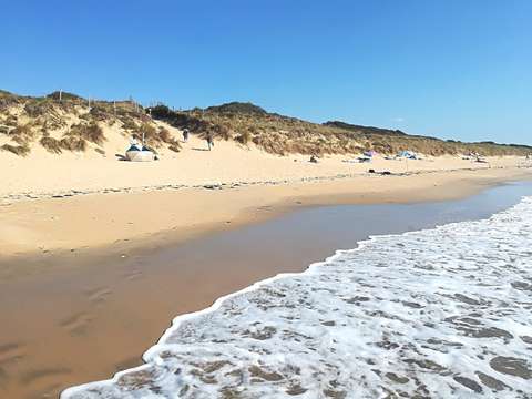 Vente de terrain Saint-Georges-d'Oléron 17