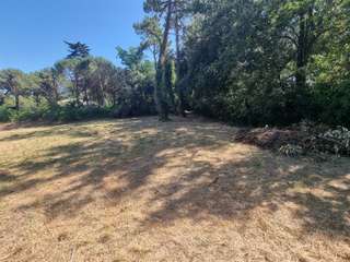 Vente de terrain