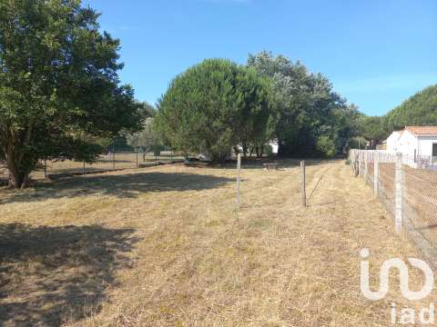 Vente de terrain Saint-Georges-d'Oléron 17