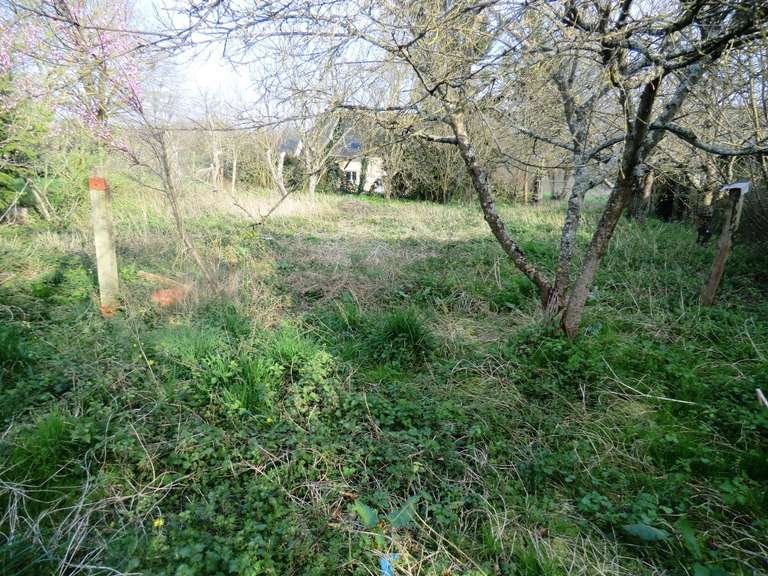 Vente de terrain