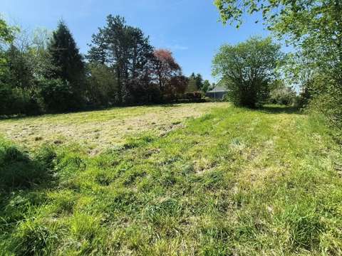 Vente de terrain Saint-Georges-de-Chesné 35