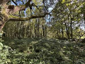 Vente Terrain 5336 m&sup2;Saint-Georges-de-Pointindoux