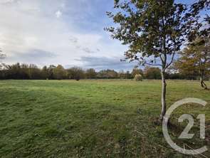 Vente Terrain 2660 m&sup2;Saint-Georges-de-Pointindoux