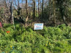 Vente Terrain 1205 m&sup2;Saint-Georges-de-Pointindoux
