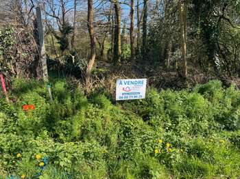 Vente de terrain Saint-Georges-de-Pointindoux 85