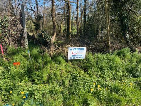 Vente de terrain Saint-Georges-de-Pointindoux 85