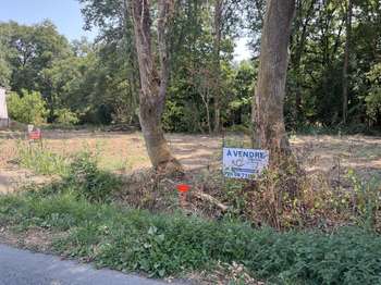 Vente Terrain 1205 m&sup2;Saint-Georges-de-Pointindoux