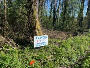 Vente Terrain 1133 m&sup2;Saint-Georges-de-Pointindoux
