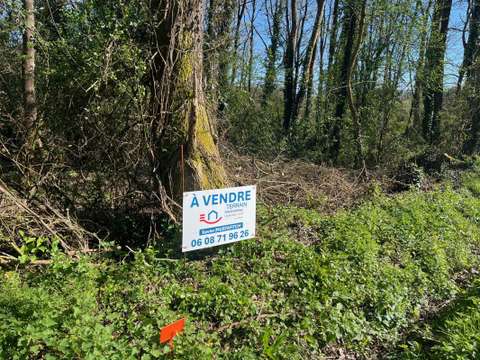 Vente de terrain Saint-Georges-de-Pointindoux 85