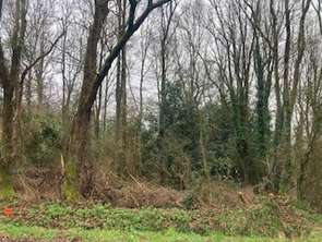 Vente Terrain 1205 m&sup2;Saint-Georges-de-Pointindoux