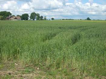 Vente Terrain 4118 m&sup2;Saint-Georges-du-Rosay