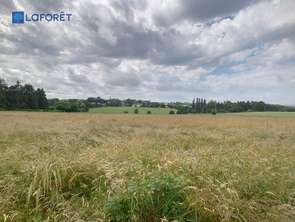 Vente Terrain 14640 m&sup2;Saint-Gérand