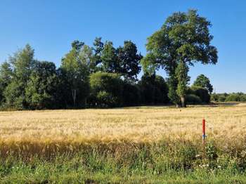 Vente Terrain 563 m&sup2;Saint-Gérand