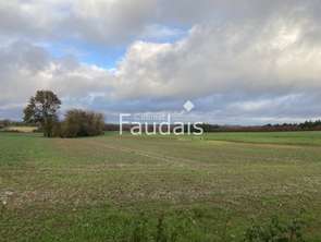Vente Terrain 121154 m&sup2;Saint-Germain-d'Elle