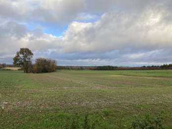 Vente Terrain 121154 m&sup2;Saint-Germain-d'Elle