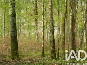 Vente Terrain 3058 m&sup2;Saint-Germain-de-Grave