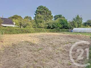 Vente de terrain