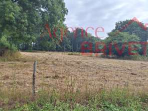 Vente Terrain 880 m&sup2;Saint-Gildas-des-Bois