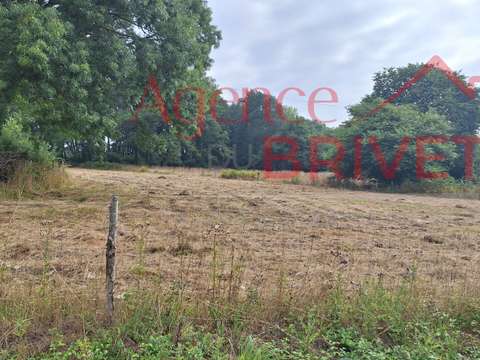 Vente de terrain Saint-Gildas-des-Bois 44