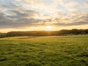 Vente Terrain 576 m&sup2;Saint-Gildas-des-Bois