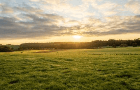 Vente de terrain Saint-Gildas-des-Bois 44
