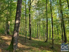 Vente Terrain 1180000 m&sup2;Saint-Girons