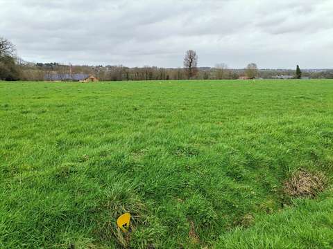 Vente de terrain