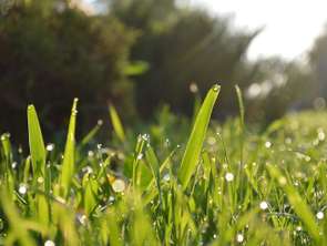 Vente Terrain 350 m&sup2;Saint-Herblain