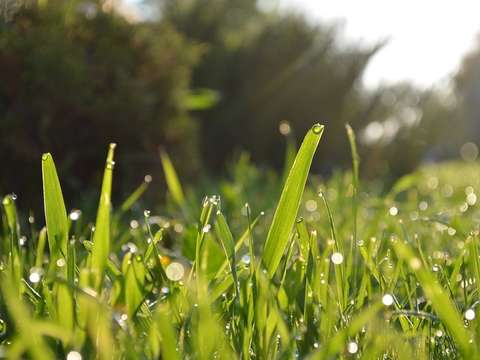 Vente de terrain Saint-Herblain 44