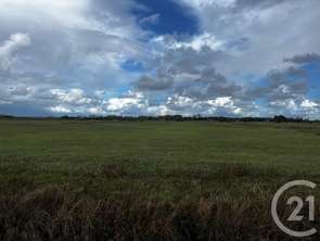 Vente Terrain 6550 m&sup2;Saint-Hilaire-de-Riez