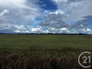 Vente de terrain