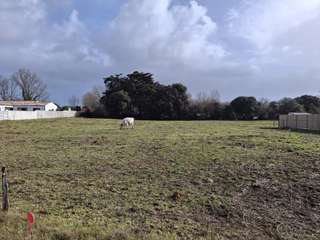 Vente de terrain