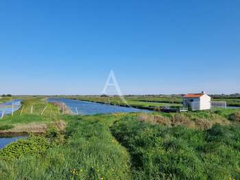 Vente Terrain 21385 m&sup2;Saint-Hilaire-de-Riez