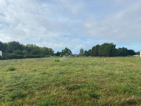 Vente de terrain Saint-Hilaire-de-Riez 85