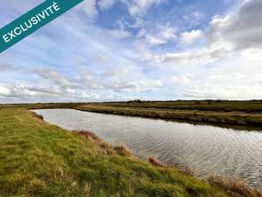 Vente Terrain 8530 m&sup2;Saint-Hilaire-de-Riez