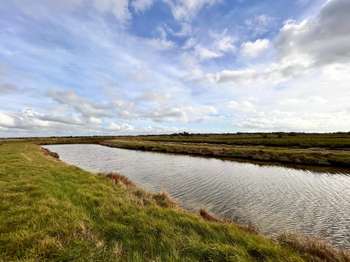 Vente Terrain 8530 m&sup2;Saint-Hilaire-de-Riez
