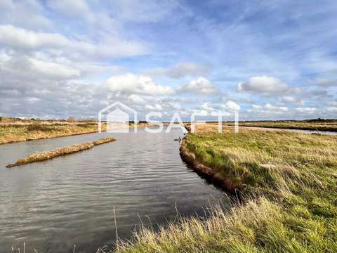 Vente de terrain