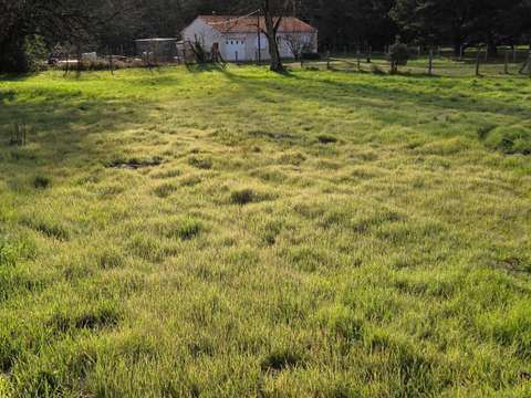 Vente de terrain Saint-Hilaire-de-Riez 85