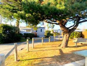 Vente Terrain 200 m&sup2;Saint-Hilaire-de-Riez