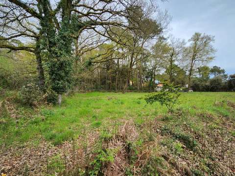 Vente de terrain Saint-Hilaire-de-Riez 85