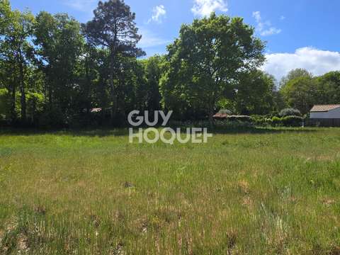 Vente de terrain Saint-Hilaire-de-Riez 85